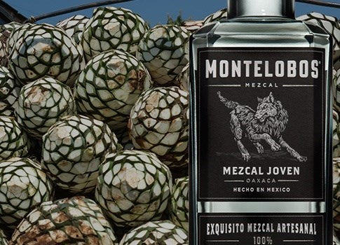 Mezcal Tequila